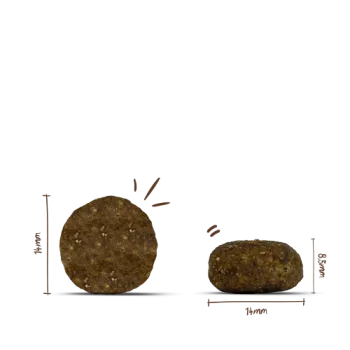 Bosch PLUS Strauß & Kartoffel 2,5kg